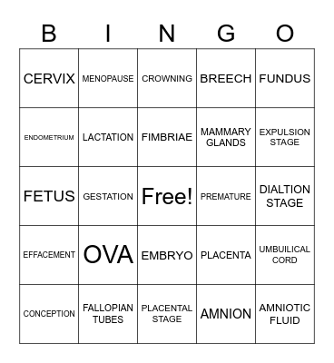 Reproductive System Bingo Card