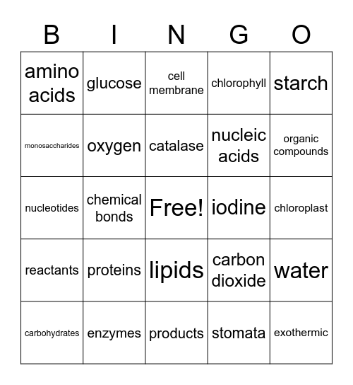 Biomolecules and Photosynthesis Bingo Card