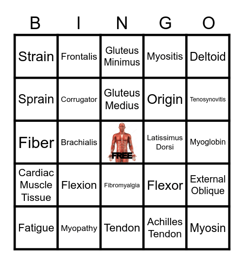 Muscular System BINGO Card
