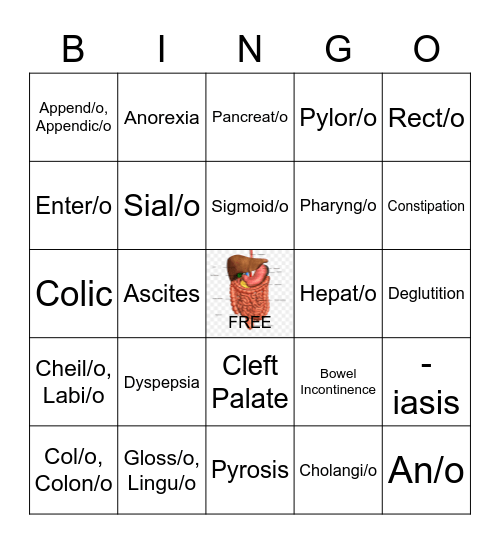 Digestive System BINGO Card
