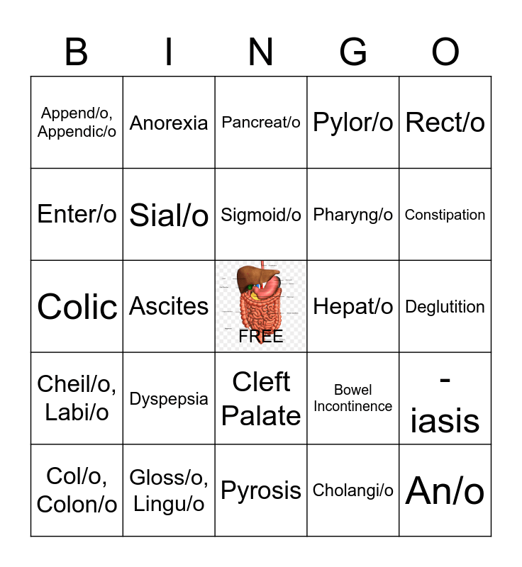 Digestive System BINGO Card