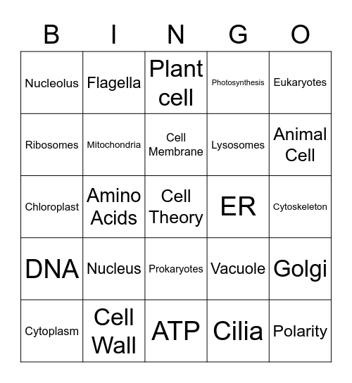 Cell organelles Bingo Card