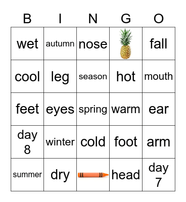 Exercise 4 Bingo Card