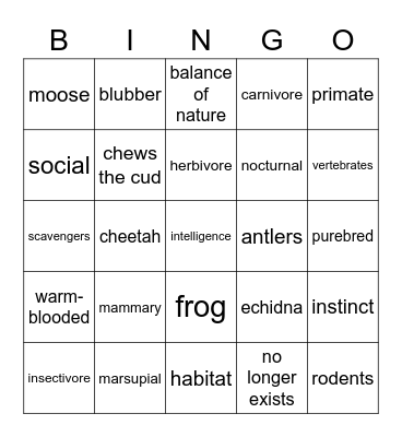 Investigating God's World Test 2 Bingo Card