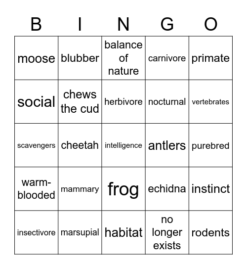 Investigating God's World Test 2 Bingo Card