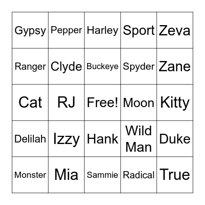 DIAMOND B STABLE BINGO Card