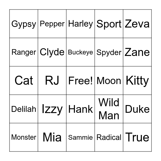 DIAMOND B STABLE BINGO Card