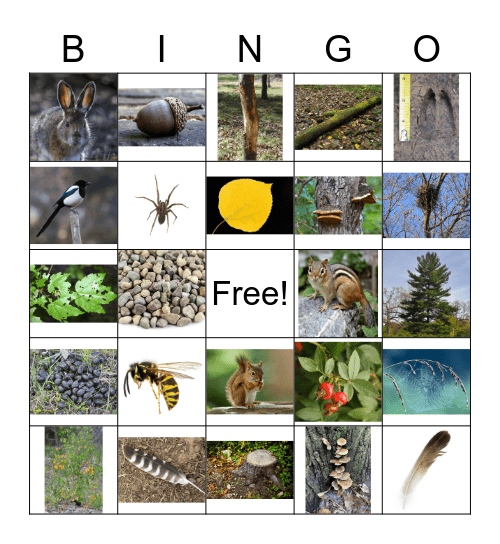 Fall Outdoor Bingo Card