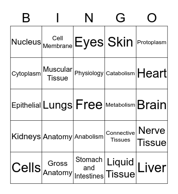 Anatomy Bingo Card