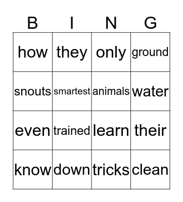 Smart Pigs Bingo Card