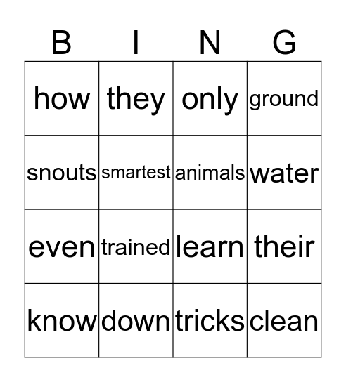 Smart Pigs Bingo Card