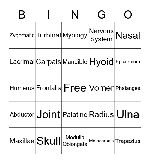 Anatomy Bingo Card