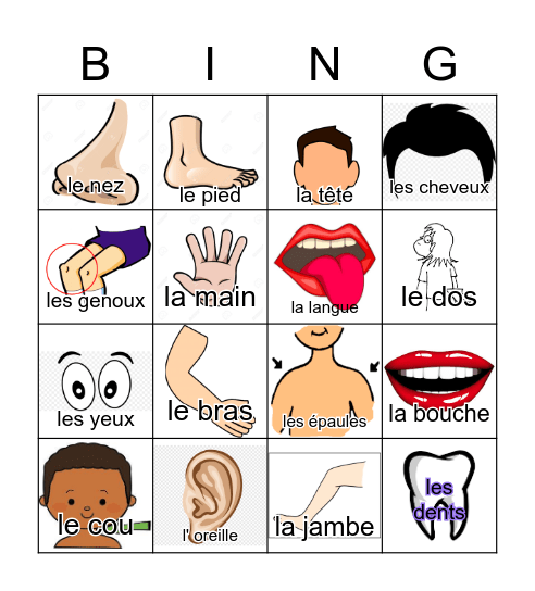 Les parties du corps Bingo Card