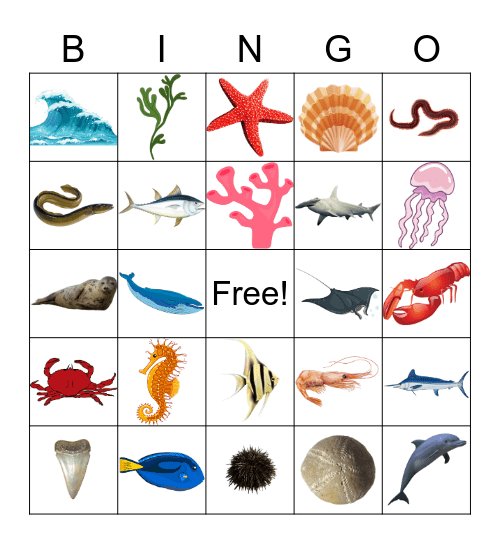 Bingo de la mer Bingo Card