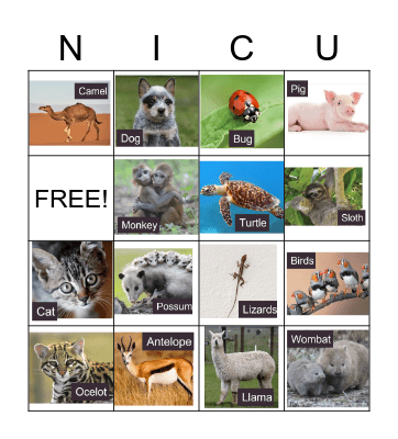 Phish Animal Song Bingo Card