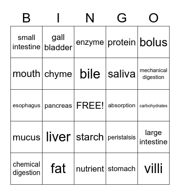 Digestive System Bingo Card