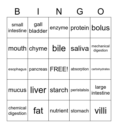 Digestive System Bingo Card