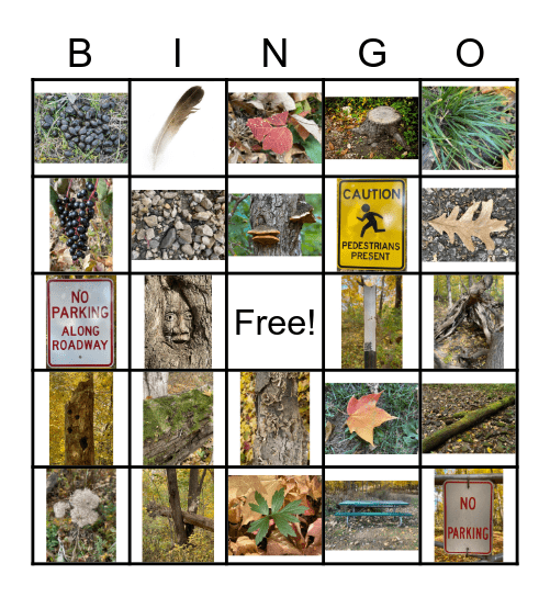 Fall Outdoor Bingo Card