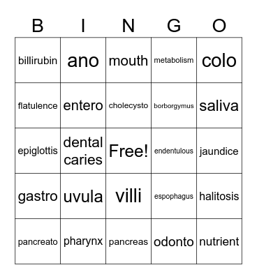 Digestion/nutrition 1 Bingo Card