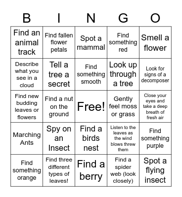 NATURE SCAVENGER HUNT Bingo Card