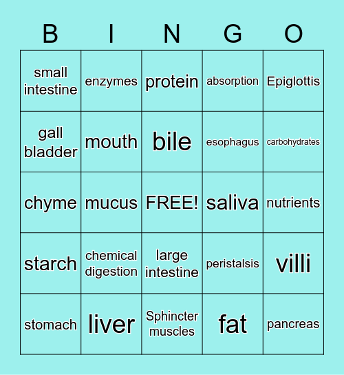 Digestive System Bingo Card