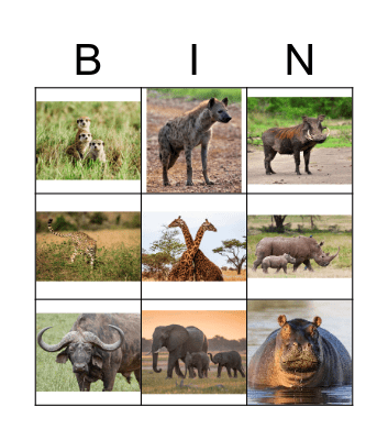 Animal Safari Bingo Card