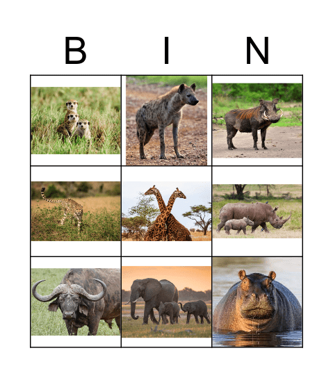 Animal Safari Bingo Card