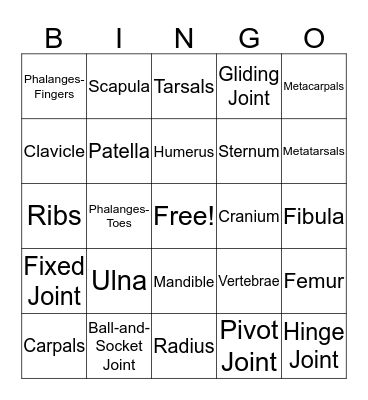 Skeletal System Bingo Card