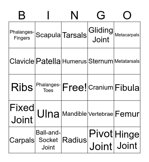 Skeletal System Bingo Card