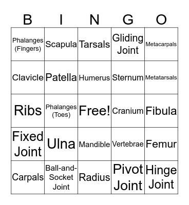 Skeletal System Bingo Card