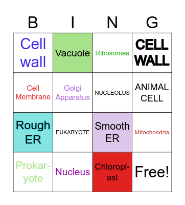 Cells Bingo Card