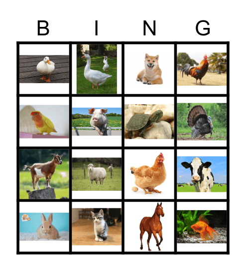 farm animals bingo Card