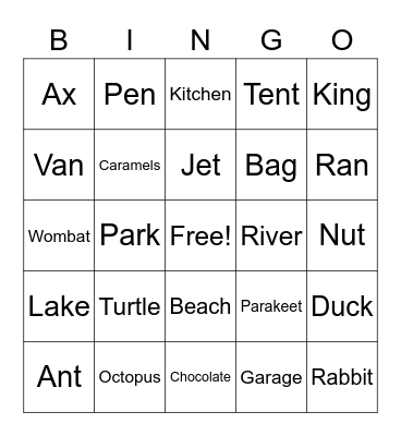 C5 lesson 5 Book D Bingo Card