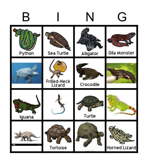 Reptile Bingo! Bingo Card