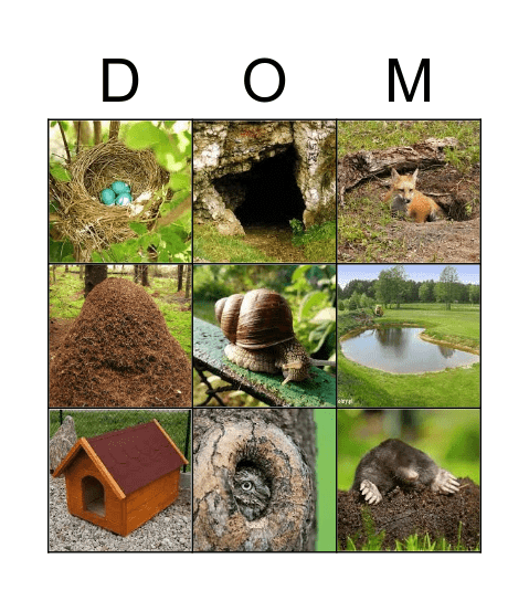 Domek zwierząt Bingo Card