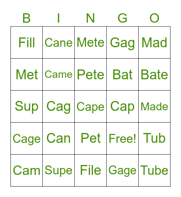 Silent "E" Sounds Bingo Card