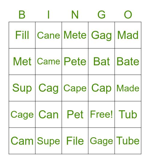 Silent "E" Sounds Bingo Card