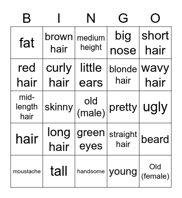 Adjectives for Physical Descriptions Bingo Card
