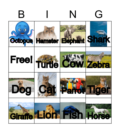 Animals Bingo Card