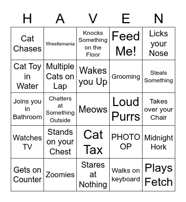 Kitty Kat Haven Bingo Card