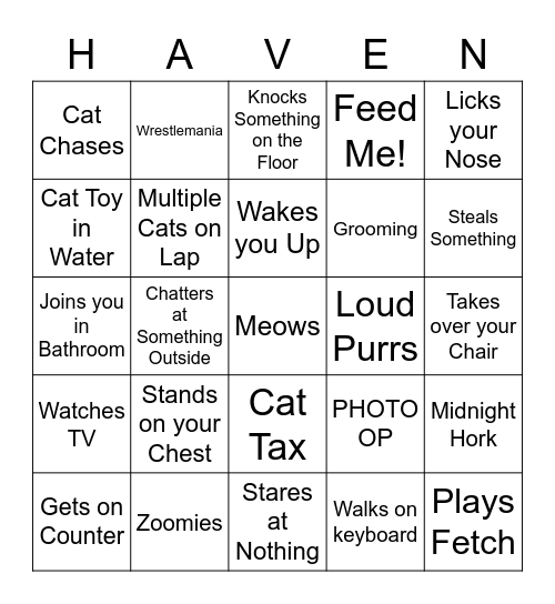 Kitty Kat Haven Bingo Card