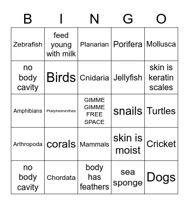 Animal Classification Bingo! Bingo Card