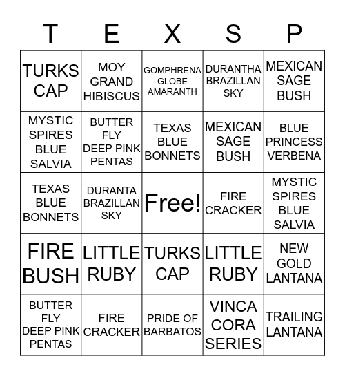 TEXAS SUPER STARS PLANTS Bingo Card