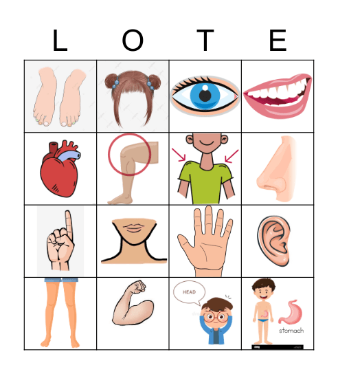 El Cuerpo Bingo Card