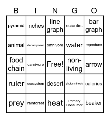 Energy Pyramid Bingo Card
