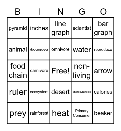 Energy Pyramid Bingo Card