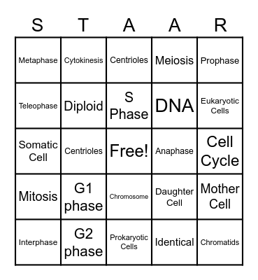 Mitosis Bingo Card