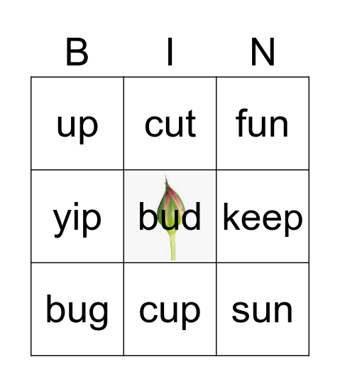 DL REACH B Unit2 Wk 1 bug Bingo Card