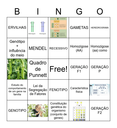 CONCEITOS DE GENÉTICA Bingo Card