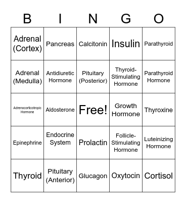 Endocrine System Bingo Card